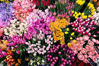 拉瑞安预热新作：非常庞大 但也需要大量时间